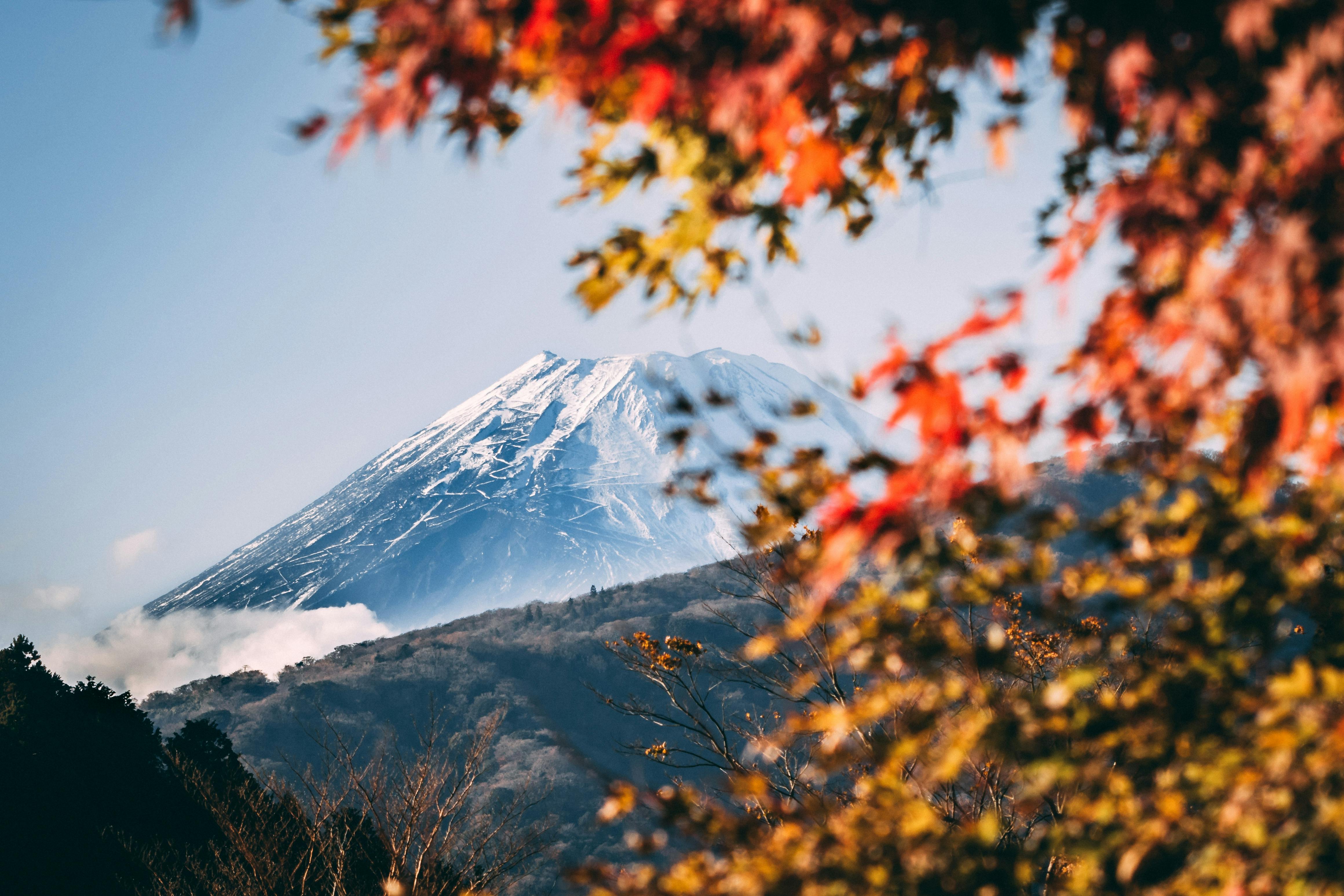 Niigata Snow Mountains